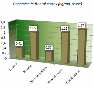 Auswirkungen der jeweiligen Treatments auf die Dopamin Konzentration im präfrontalen Kortex. (Bildquelle: Ergo-Log.com & Verpeut et al, 2013)