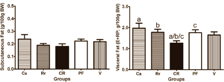 Auswirkungen der jeweiligen Treatments auf das subkutane und viszerale Fettgewebe nach Gruppe. (Bildquelle: Verpeut et al, 2013)