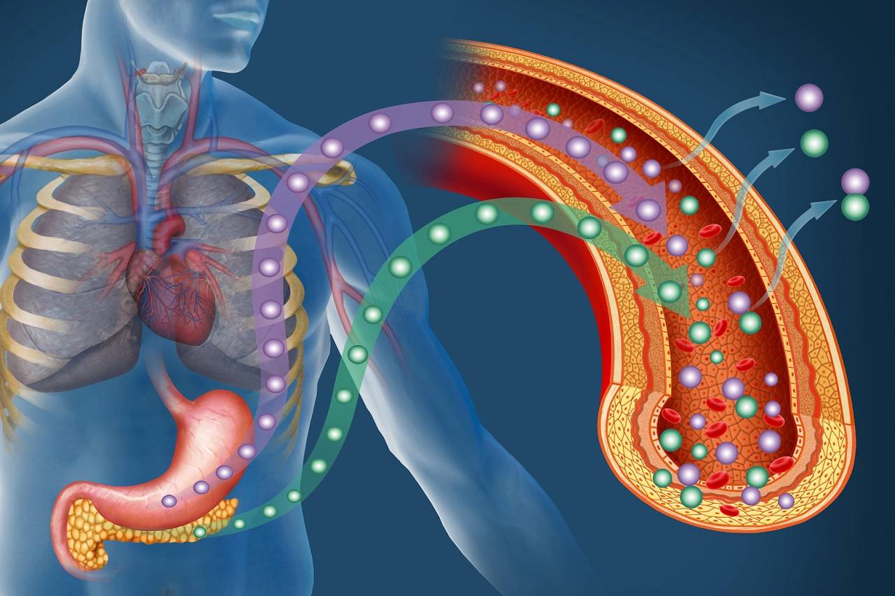 Effektive Basissupplemente & Supplement Stacks: Insulinsensitivität & Glukoseaufnahme