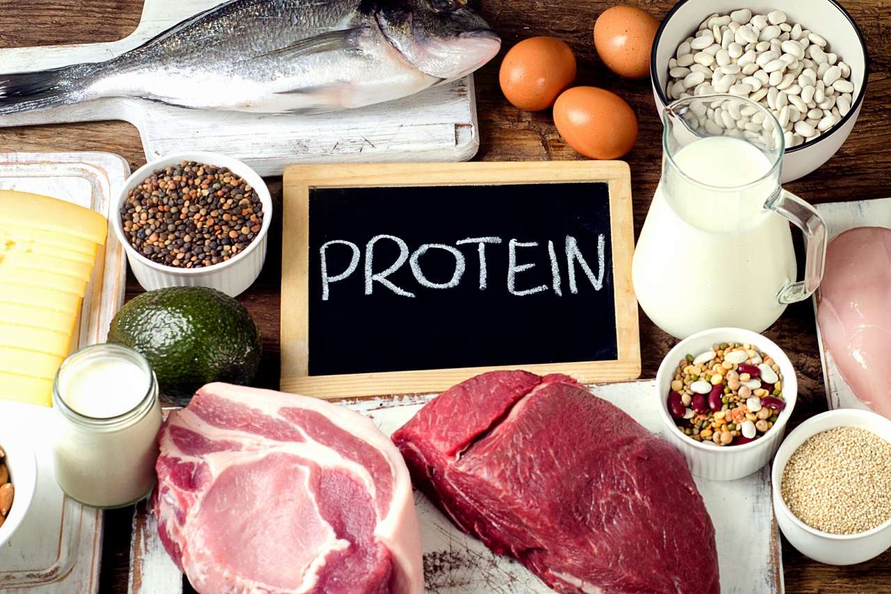 Kann man sich an Protein überessen ohne fett zu werden?