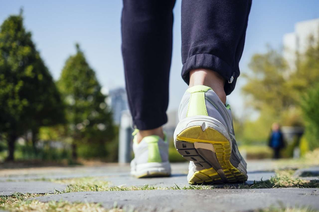 Low Carb High Fat optimiert Fettverbrennung, aber verschlechtert die Leistung