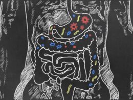 Prebiotika & Probiotika: Alles, was du darüber wissen musst
