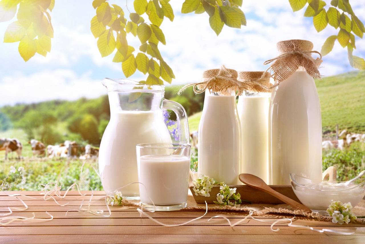 Höherer Milchprodukte-Verzehr korreliert mit höherer Knochendichte und stärkerer Wirbelsäule in Männern über 50