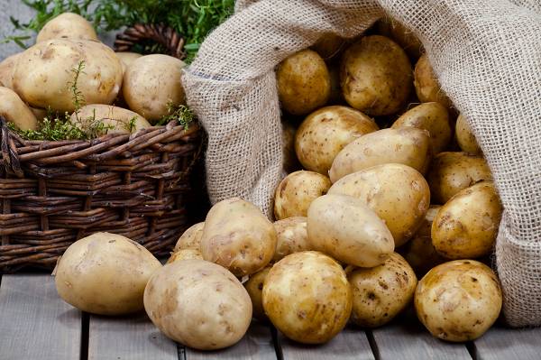 Wurzelgemüse und Knollen, darunter (Süß-)Kartoffeln, Maniok und Yam sind exzellente und nahrhafte Vitamin- und Mineralstoffquellen. Sie enthalten zudem sehr viel Stärke, die insbesondere kärperlich schwer arbeitenden Menschen und aktivien Sportlern zu Gute kommt. (Bildquelle: Fotolia /Olo)