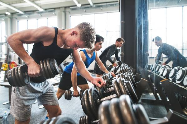 Muskelaufbautraining mit und ohne Whey Isolat - wie stark profitieren Trainingsanfänger? | Studien Review