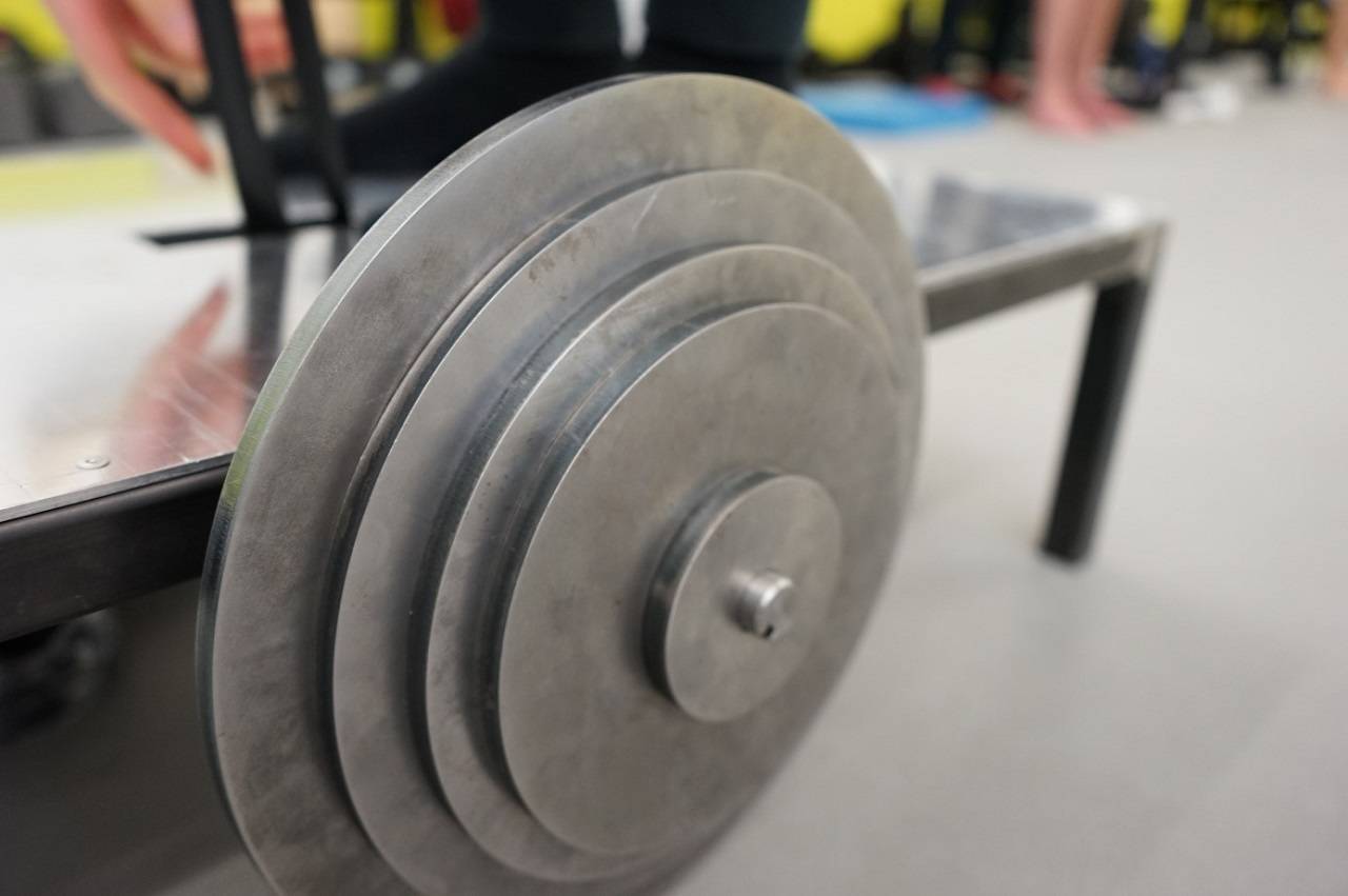 Inertia Plate: Training mit Schwungscheibe (TmS)