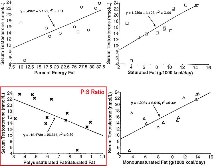 Korrelationen zwischen Testosteron, absolutem Fettanteil und spezifischen Fettsäuren (SFAs, MUFAs & PUFAs).