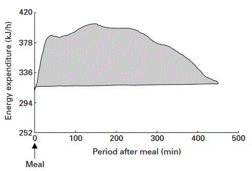 Der Thermische Effekt von Nahrung: Das Individuum erhielt eine Mahlzeit (↑), die ein Drittel seines Energiebedarfs für den Tag ausmachte. Die Fläche unter der Kurve bildet den Energieaufwand im zeitlichen Verlauf ab (in kJ/Stunde). Der TEF entspricht einem Drittel des TEF-Werts für den gesamten Tag unter Experimentbedingungen.