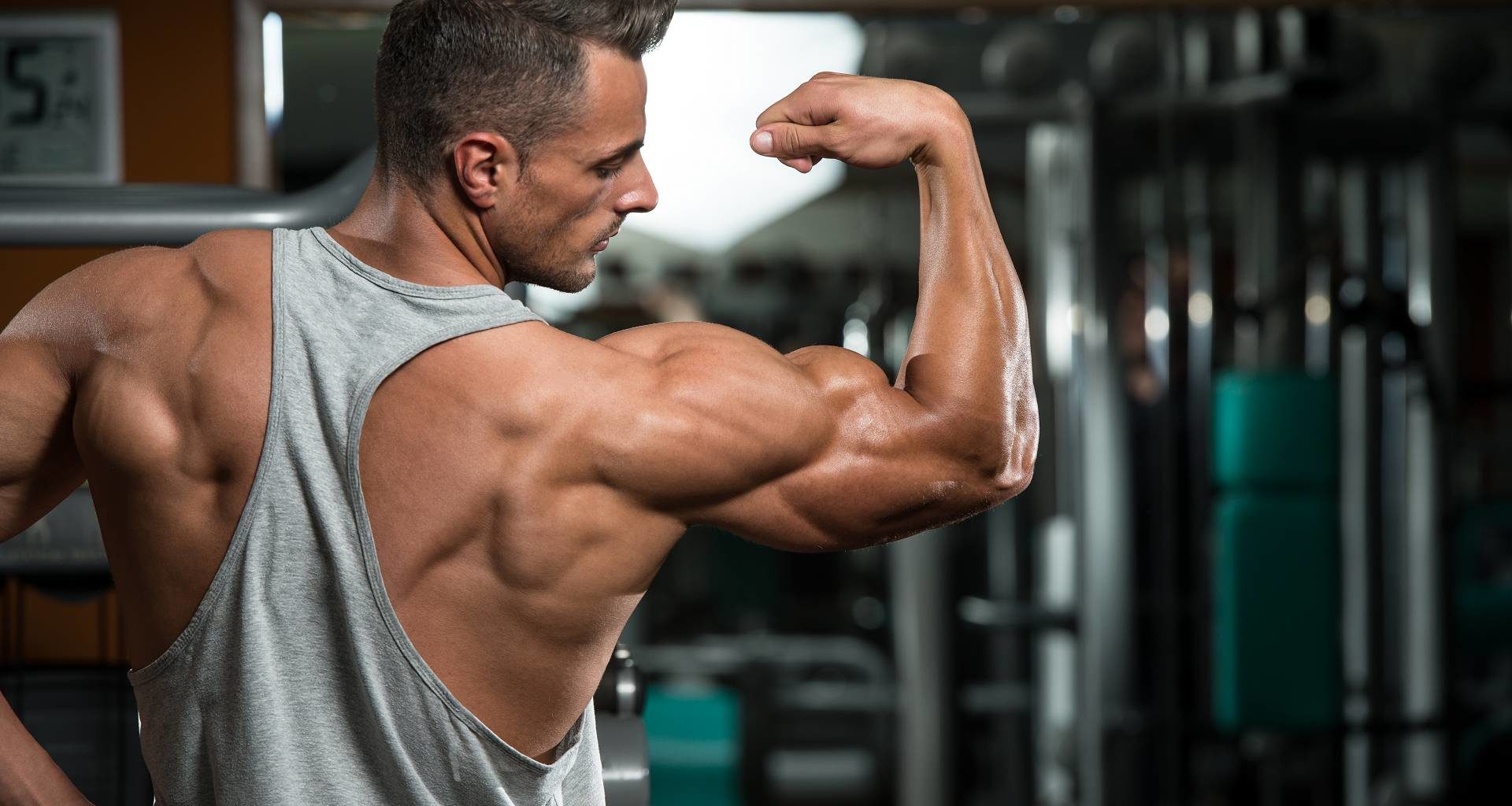 Der M.A.X. Muscle Plan II: Die Vorbereitungsphase (Break-In), sowie die 3 Hauptphasen (Strength, Metabolic & Muscle)