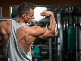 Der M.A.X. Muscle Plan II: Die Vorbereitungsphase (Break-In), sowie die 3 Hauptphasen (Strength, Metabolic & Muscle)