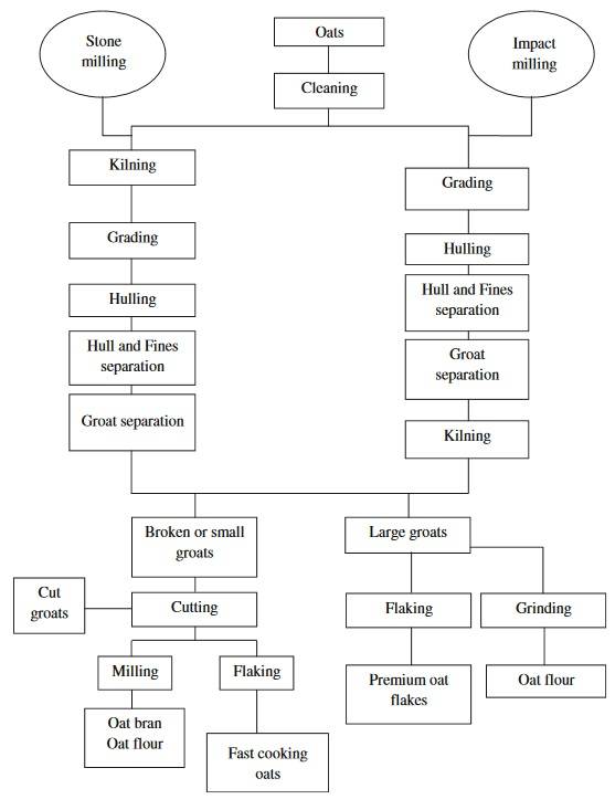 Vom Korn bis zur Flocke (oder Mehl): Diese Verarbeitungsschritte durchläuft der Hafer, bis er schließlich bei uns in der Schüssel landet. (Bildquelle: Rasane et al., 2013)