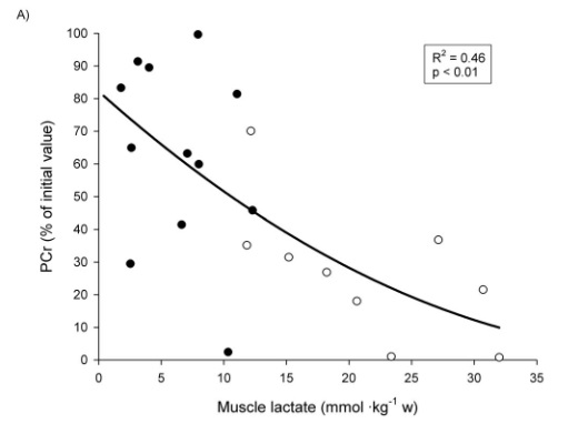 Individuelle Beziehung zwischen der Muskel-Laktat- und PCr-Konzentration (ausgedrückt in Prozent des Ausgangswertes) und zwischen PCr-Abnahme (ausgedrückt in Prozent des Ausgangswertes), während eines Trainings bei dem 5 Sätze á 10 Wiederholungen bis zum Muskelversagen (5 REP, ●) oder 10 Sätze á 5 Wiederholungen ohne Muskelversagen (10REP, ○) durchgeführt wurden (n=6). (Bildquelle: Gorostiaga et al., 2012)