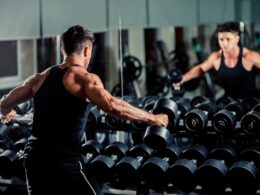 Tierisches Vs. Pflanzliches Protein + Kraftsport: Mit welche Kombination lassen sich besser Muskeln aufbauen?