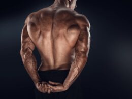 Funktionaler Muskelaufbau: Welches sind die entscheidenden Einflussfaktoren für optimale Hypertrophie