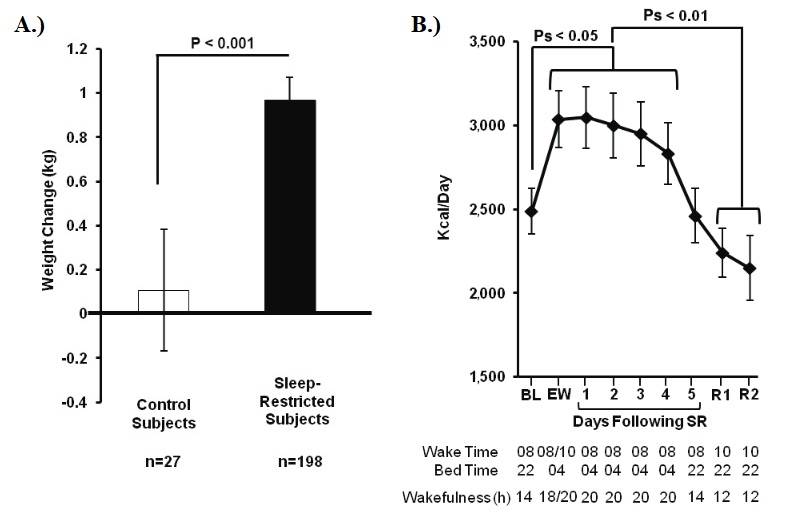 Auswirkung von Schlafentzug auf die Gewichtszunahme & Kalorienzufuhr: A.) Personen mit Schlafentzug nahmen signifikant mehr Gewicht zu, als Kontrollpersonen (d= 0,51). B.) Probanden mit eingeschränktem Schlaf verzehrten signifikant mehr Kalorien an Tagen, an denen die Schlafenszeit (Bed Time) auf 04:00 Uhr verschoben wurde (EW-SR4), verglichen mit Tagen, an denen die Schlafenszeit bei 22:00 Uhr lag (BL, R1-2). Die Kalorienaufnahme unterschied sich nicht zwischen BL und SR5 (wenn die Wachzeiten  gleich waren und die Schlafenszeit bei 22:00 Uhr lag). Zudem unterschied sich die Kalorienzufuhr nicht zwischen BL und jedem Erholungstag (R1-2). Bei den Probanden handelte es sich um gesunde Erwachsene im Alter von 22-50 Jahren und einem BMI zwischen 19-30. (Bildquelle: Spaeth et al., 2013)