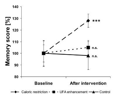 Prozentuale Gedächtniswerte, normalisiert auf die Ausgangswerte vor und nach Kalorienrestriktion (Calorie restriction, n=20, gestrichelte Linie), Anreicherung mit ungesättigten Fettsäuren (UFA) (UFA enhancement, n=20, gepunktete Linie) und Kontrolle (Control, n=10, durchgezogene Linie). Beachte, dass nach der Kalorienrestriktion eine hochsignifikante Verbesserung der Gedächtniswerte zu erkennen ist. Die Basiswerte fürs Gedächtnis waren nicht signifikant unterschiedlich. Die Punkte geben die Mittelwerte an, die Balken den Standardfehler. *** = P<0,001. (Bildquelle: Witte et al., 2009)