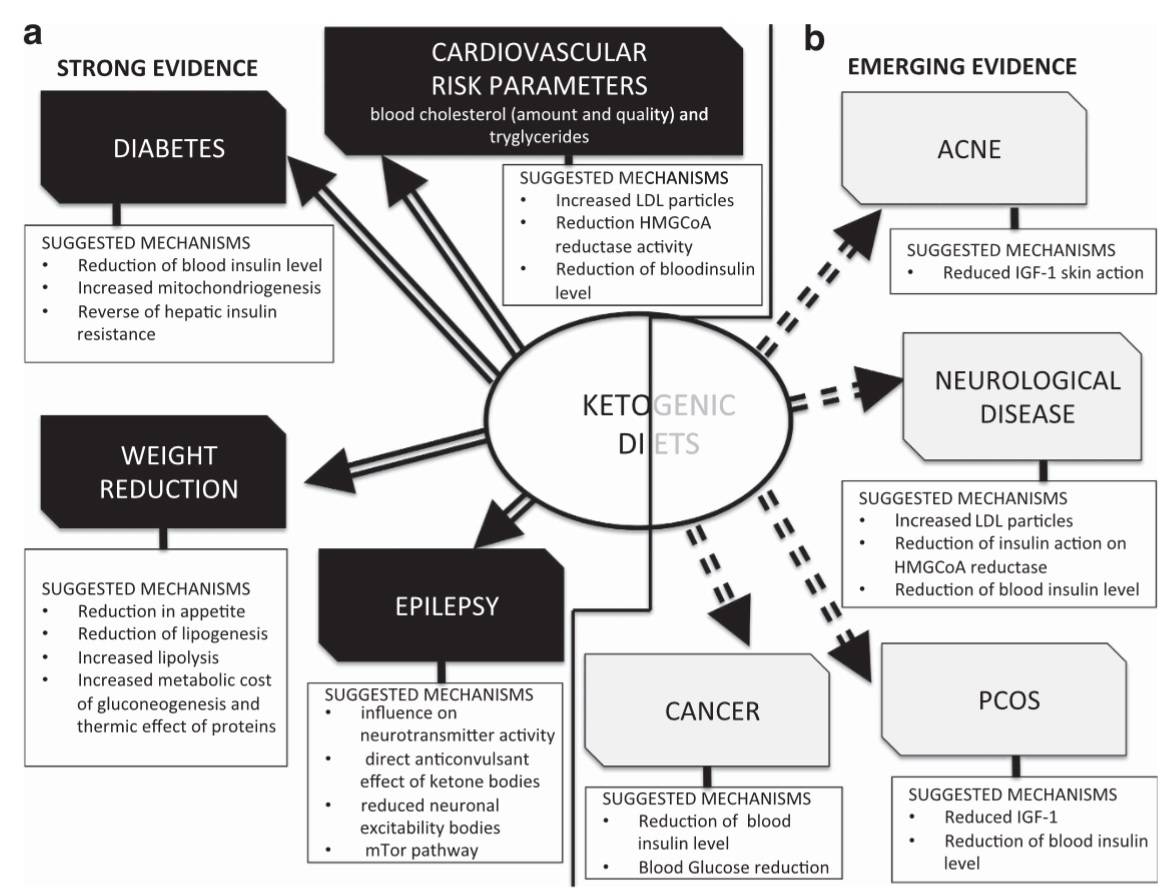 Vorgeschlagene Mechanismen für die therapeutische Wirkung einer ketogenen Ernährung bei Pathologien, für die es starke (a) und sich abzeichnende (b) Evidenz gibt. (Bildquelle: Paoli et al., 2013)
