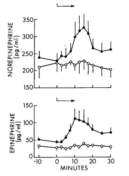 Durchschnittliche (± SE) Plasmakonzentrationen von Noradrenalin (Norepinephrine) und Adrenalin (Epinephrine) in Verbindung mit Rauchen (●) und Placebo (○). Die Pfeile zeigen den Zeitraum des Rauchens bzw. Placebos an. (Bildquelle: Cryer et al., 1976)