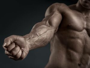 Intermittent Dieting: Strategischer Einsatz von Diätpausen bei Sportlern & Athleten zur Optimierung der Fettverbrennung?