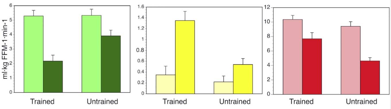 Die akute Überversorgung mit Lipiden (Fetten) während einer Hyperinsulinämie zeigt die metabolische Flexibilität bei trainierten im Vergleich zu untrainierten Probanden. Während eines hyperinsulinämisch-euglykämischen "Glukose"-Clamps ohne (helle Balken) oder mit (dunkle Balken) gleichzeitiger Infusion von Intralipiden, vermindern trainierte Probanden die Glukose-Oxidation (grüne Balken), erhöhen die Fettsäure-Oxidation (gelbe Balken) und erhalten die Muskelglykogenspeicher (rote Balken), im Vergleich zu untrainierten Probanden, die eine metabolische Inflexibilität aufweisen. Mit anderen Worten: Untrainierte Probanden können weder die Glukose-Oxidation noch die Fettsäure-Oxidation wirksam verringern und zeigen angesichts der Lipidüberlastung eine verringerte Glykogenspeicherung. Daten basierend auf Dubé et al., 201)(16). Es handelt sich um Mittelwerte ± SEM. (Bildquelle: Goodpaster & Sparks, 2017)
