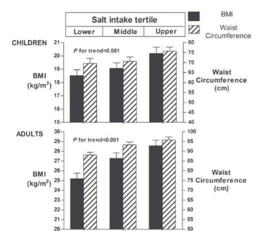 Bereinigter mittlerer Body-Mass-Index (BMI) und Taillenumfang (Waist Circumference) entsprechend den Tertilen der Salzzufuhr, durch 24-Stunden-Natriumausscheidung im Urin gemessen. (Bildquelle: Ma et al., 2019)
