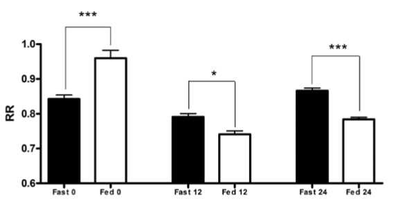 Unterschiede beim Respirationsquotienten (RR) zwischen dem Nüchtern-Training (schwarze Balken) und dem Training im genährten Zustand (weiße Balken) vor der Trainingseinheit, sowie 12 und 24 Stunden danach. * = p<0,05; *** = p<0,001. (Bildquelle: Paoli et al., 2011)