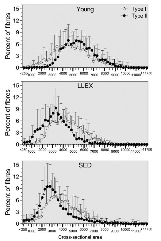 Fasergrößenverteilung der Typ 1 (offener Kreis, gepunktete Linie) und Typ II (gefüllter Kreis, gestrichelte Linie) Muskelfasern, dargestellt als Mittelwerte mit Standardabweichungen. YOUNT (n= 15), LLEX (n=16) und SED (n=15). (Bildquelle: Soendenbroe et al., 2022)