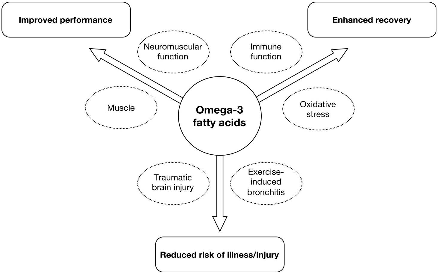 Bereiche von Interesse für die Supplementierung mit Omega 3 Fettsäuren ( Eicosapentaensäure [EPA] und Docosahexaensäure [DHA]) in der Sporternährung bei Athleten und Amateuren. (Bildquelle: Thielecke & Blannin, 2020)