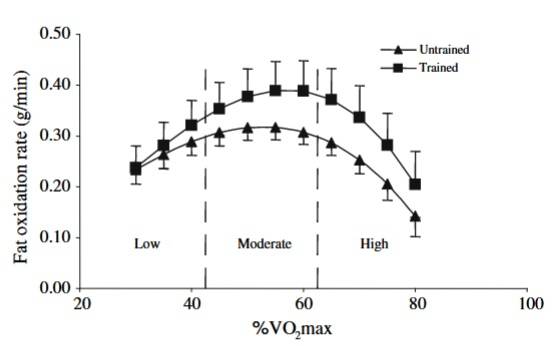 Fettoxidation in Abhängigkeit der absoluten Leistung (Watt) zwischen trainierten und untrainierten Frauen. Es handelt sich um Mittelwerte ± SE von 9 untrainierten und 8 trainierten Frauen. *Signifikant verschieden zu untrainierten Individuen, P<0,05. (Bildquelle: Stisen et al., 2006)