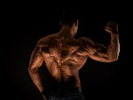 „Alles nur aufgepumpt“: Ist die Muskulatur von Bodybuildern tatsächlich schwach (für ihre Größe)?