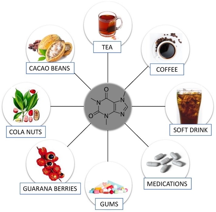 Beliebte koffeinhaltige Pflanzen und Produkte. (Bildquelle: Rodak et al., 2021; basierend auf de Mejia et al., 2014)