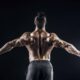 Was ist Muskelwachstum: Eine kritische Betrachtung des traditionellen Hypertrophie-Modells