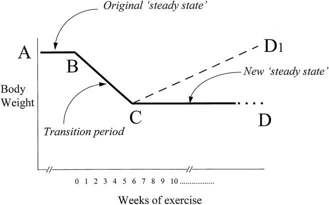 Schematisches Diagramm zur Veranschaulichung der vorgeschlagenen Auswirkungen von Bewegung auf das Körpergewicht: A-B zeigt einen anfänglichen Gleichgewichtszustand (Steady State) an; Punkt B steht für den Beginn des Trainings; B-C zeigt die Übergangsphase an, in der ein höherer Energieverbrauch (EE) nicht durch eine Energiezufuhr (EI) kompensiert wird; C steht für den Zeitpunkt, an dem neue Kräfte (Verhaltens- und Stoffwechselkräfte) zusammenwirken, um einen neuen Gleichgewichtszustand (C-D) herbeizuführen. (Bildquelle: Blundell et al., 1999)