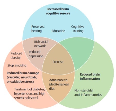Mögliche, das Hirn betreffende Mechanismen für Präventionsstrategien bei Demenz. (Bildquelle: Livingston et al., 2018)