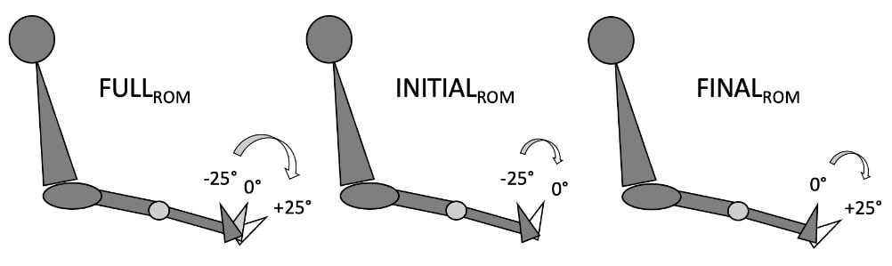 Grafische Darstellung eines vollständigen Bewegungsradius (Full ROM) bzw. des ersten (Initial ROM) und letzten (Final ROM) Teils des Bewegungsradius. (Bildquelle: Kassiano et al., 2023)