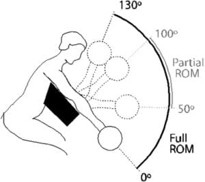 Beispielhafter Bewegungsradius (ROM) beim Preacher-Curl (Ellenbogenbeugung). (Bildquelle: Pinto et al., 2012)