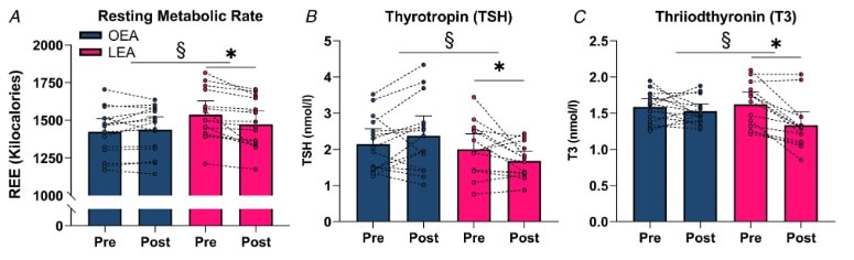 Veränderungen des Basalstoffwechselrate (REE) (A), sowie der TSH- (B) und T3-Konzentration (C) vor (Pre) und nach (Post) der 10-tägigen Intervention. Die Daten sind als Mittelwerte mit 95% CI und einzelnen Datenpunkten angegeben. OEA: n=15, LEA: n=15 für den Basalstoffwechsel und n=14 für TSH und T3. * = P<0,05 gegenüber Pre. § = P<0,05 Gruppe x Zeit-Interaktion. (Bildquelle: Oxfeldt et al., 2023)