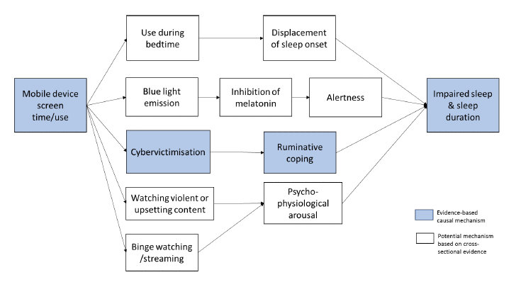 Mögliche kausale Zusammenhänge zwischen Bildschirmzeit/Nutzung von Mobilgeräten und Schlafproblemen. (Bildquelle: Gov.scot, 2020)