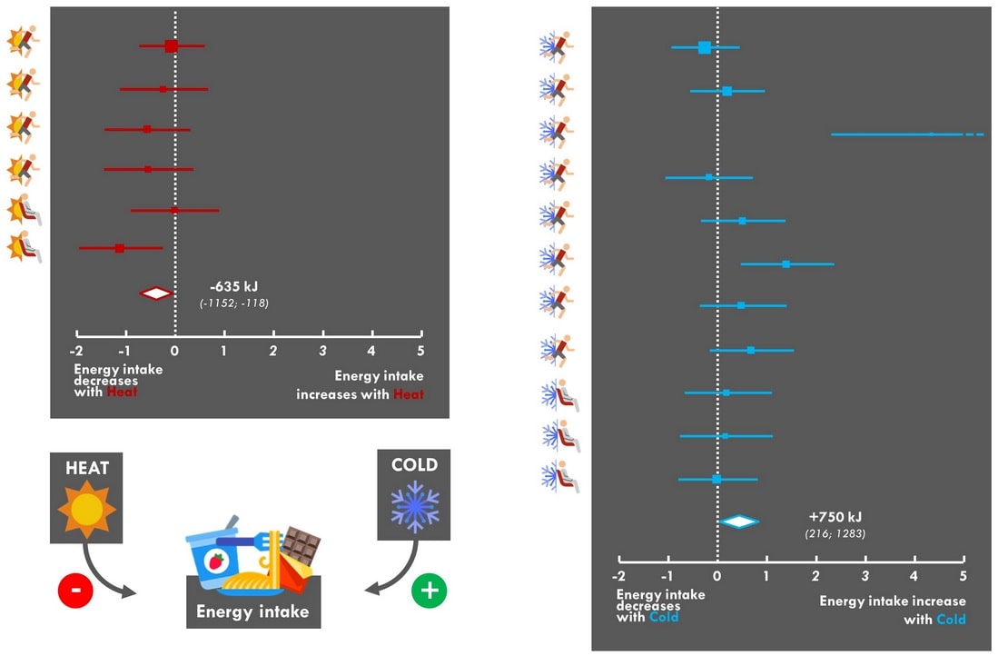 Graphische Zusammenfassung der Meta-Analyse zu den akuten Auswirkungen von Hitze und Kälte bei Ruhe und während des Sports auf die Kalorienzufuhr. (Bildquelle: Millet et al., 2021)
