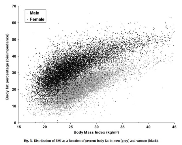 Verteilung des BMI als Funktion des Körperfettanteils bei Männern (grau) und Frauen (schwarz). (Bildquelle: Meeuwsen et al., 2010)